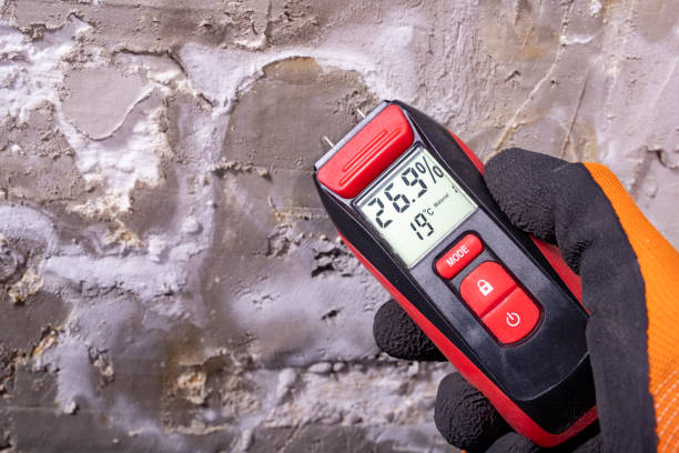 Best Mold Testing  in Jennerstown, PA