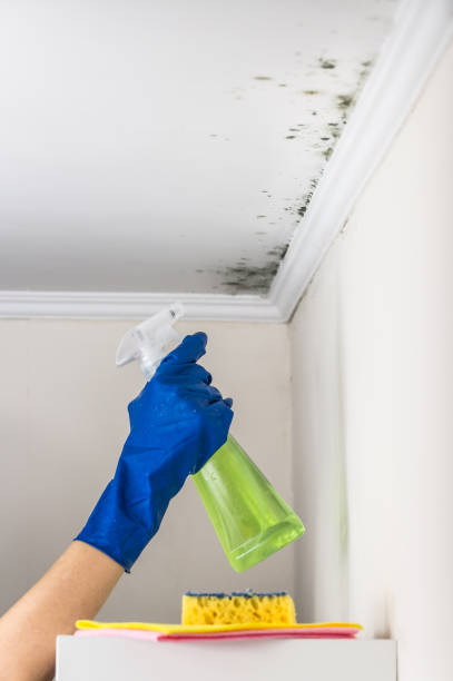 Best Mold Cleaning Services  in Jennerstown, PA